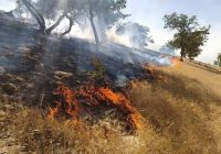 آتش در کمین مراتع و منابع طبیعی