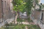درخواست اهالی کوچه آگاهی سابق از شهردار منطقه چهار/پله پله های پشت پاساژ ارگ را به خیابان تبدیل کنید