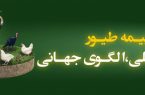 قائممقام صندوق بیمه کشاورزی: پوشش بیمه ای ۱.۸ میلیارد قطعه طیور و پرداخت ۳۳۰۰ میلیارد ریال خسارت در سال ۱۴۰۴
