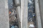 امان از دست این مسئولان دل‌رحم و مهربان شهرداری